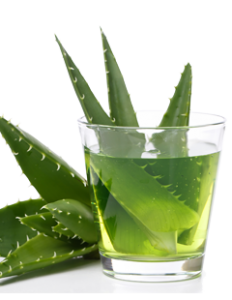 Aloe Vera dryck – är aloe vera drycken nyttig? bra skäl att dricka Aloe Vera