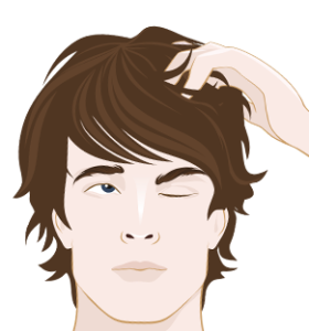 haarbottenproblem