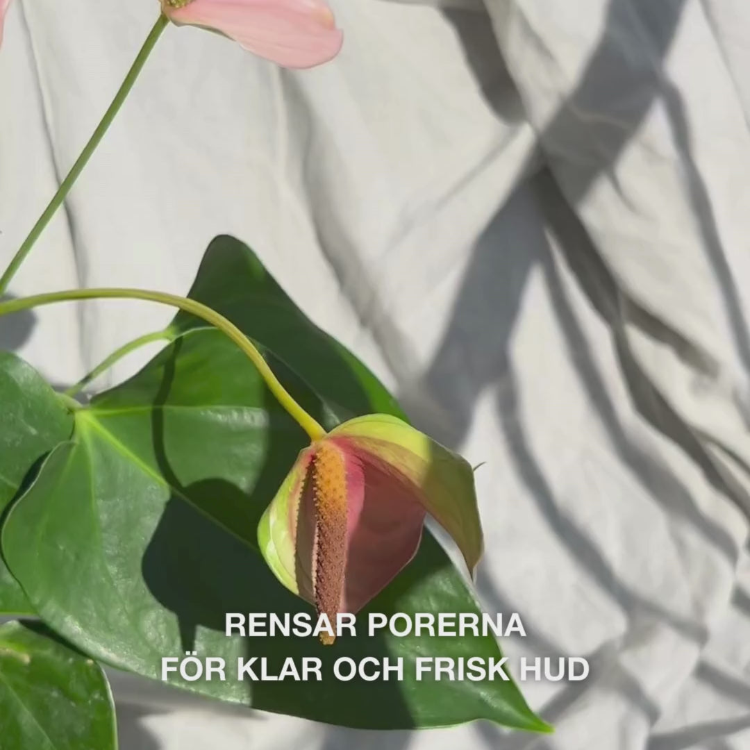 Närbild av en hand som för den mjuka silikonborsten Face Scrubber i cirkulära rörelser över lätt fuktad ansiktshud: den flexibla borsten exfolierar varsamt, rengör på djupet, tar bort smuts och döda hudceller och avslöjar en slät struktur och fräsch lyster.