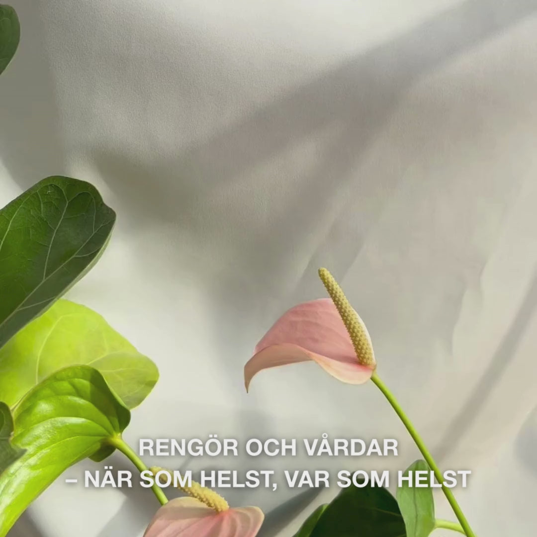 Närbild av en hand som vecklar ut en mjuk, fuktig ansiktsservett med Tea Tree Oil och sveper den försiktigt över huden för att ta bort smink, olja och orenheter—servettens mjuka struktur och den uppfriskande, lugnande effekten för känslig till fet hud lyfts fram.